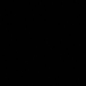 Meet your Posher, Penny